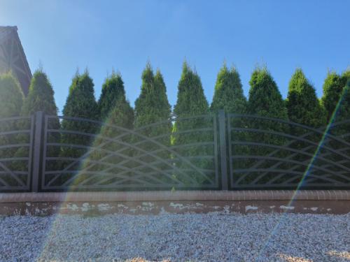 ploty-ogrodzenia-panelowe-betonowe-metalowe-z-siatki-systemowe-srutowane-gabionowe-lupane (604)