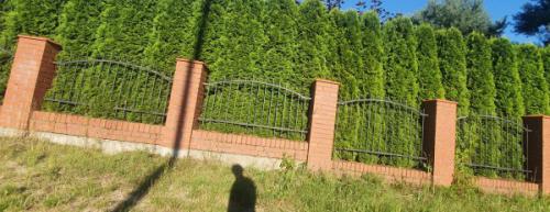ploty-ogrodzenia-panelowe-betonowe-metalowe-z-siatki-systemowe-srutowane-gabionowe-lupane (649)