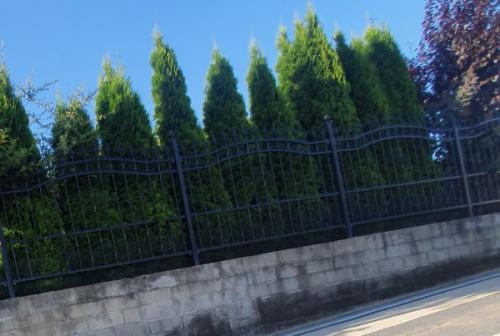 ploty-ogrodzenia-panelowe-betonowe-metalowe-z-siatki-systemowe-srutowane-gabionowe-lupane (756)